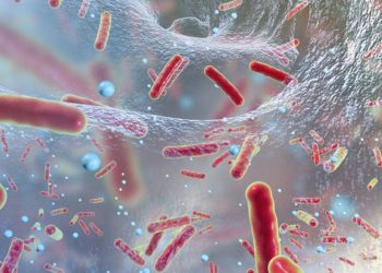 Патогенные бактерии