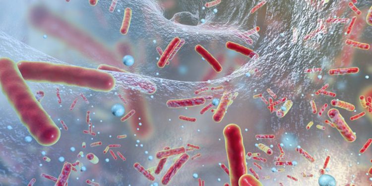 Патогенные бактерии